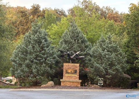 Vacant Land For Sale - 1930 Lookout Mountain Drive<br/> Scottsboro, AL 35769