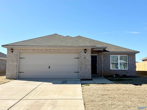 Apartment For Sale - 132 Joya Brook Way<br/> Toney, AL 35773