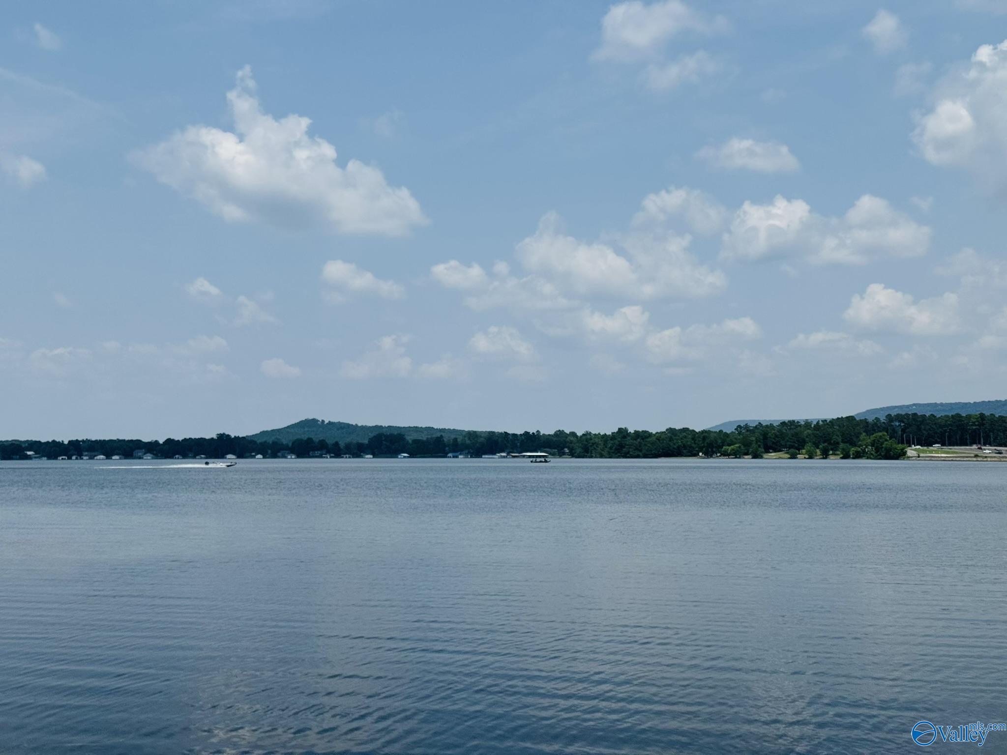 201 Pinewood Drive, Langston, Alabama image 3
