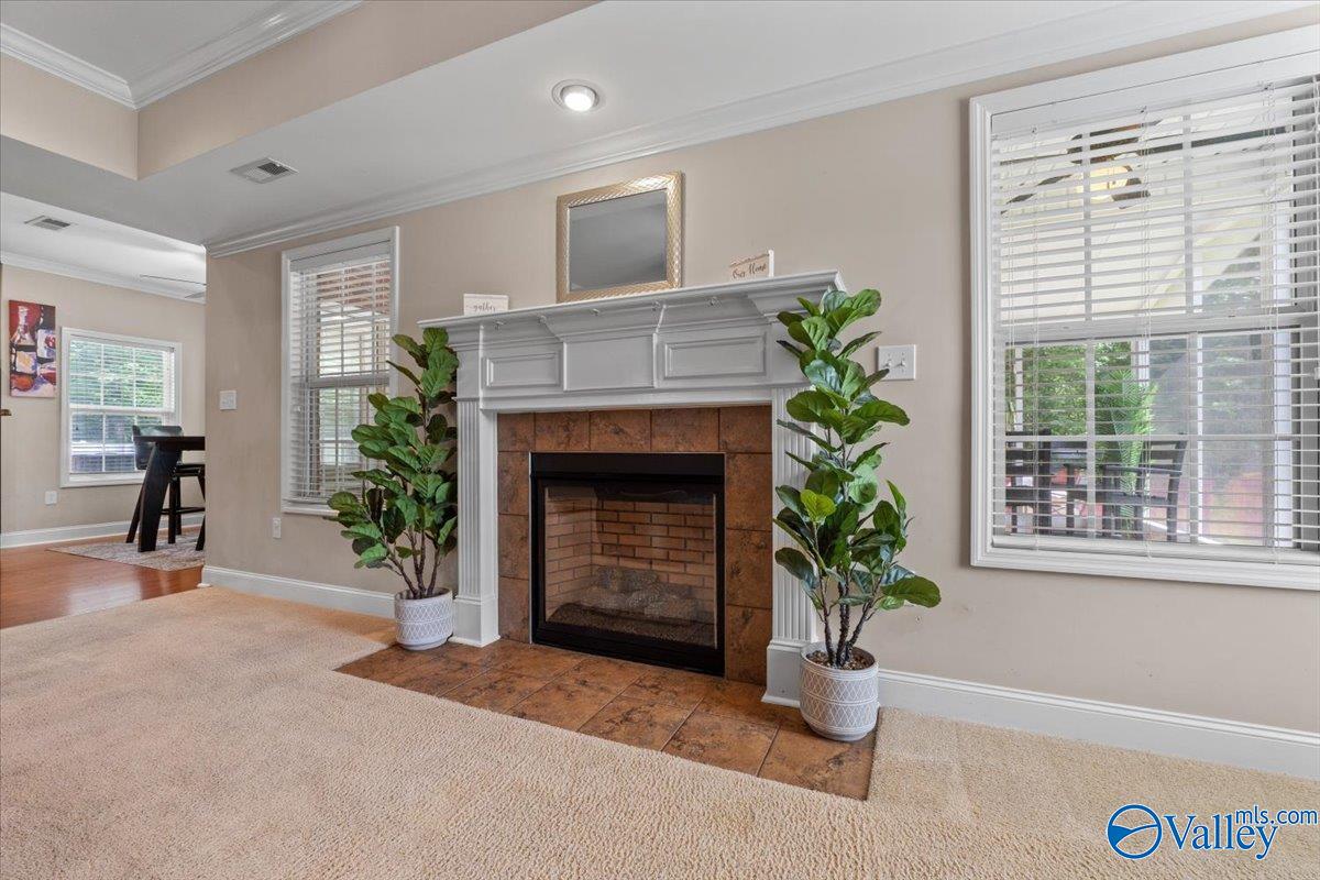 148 Sage Willow Drive, Madison, Alabama image 13