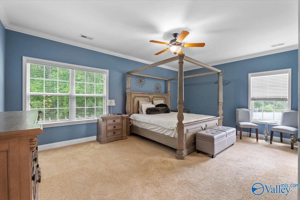 148 Sage Willow Drive, Madison, Alabama image 23