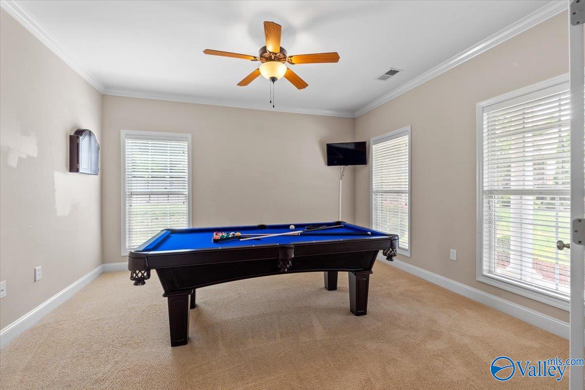 148 Sage Willow Drive, Madison, Alabama image 10