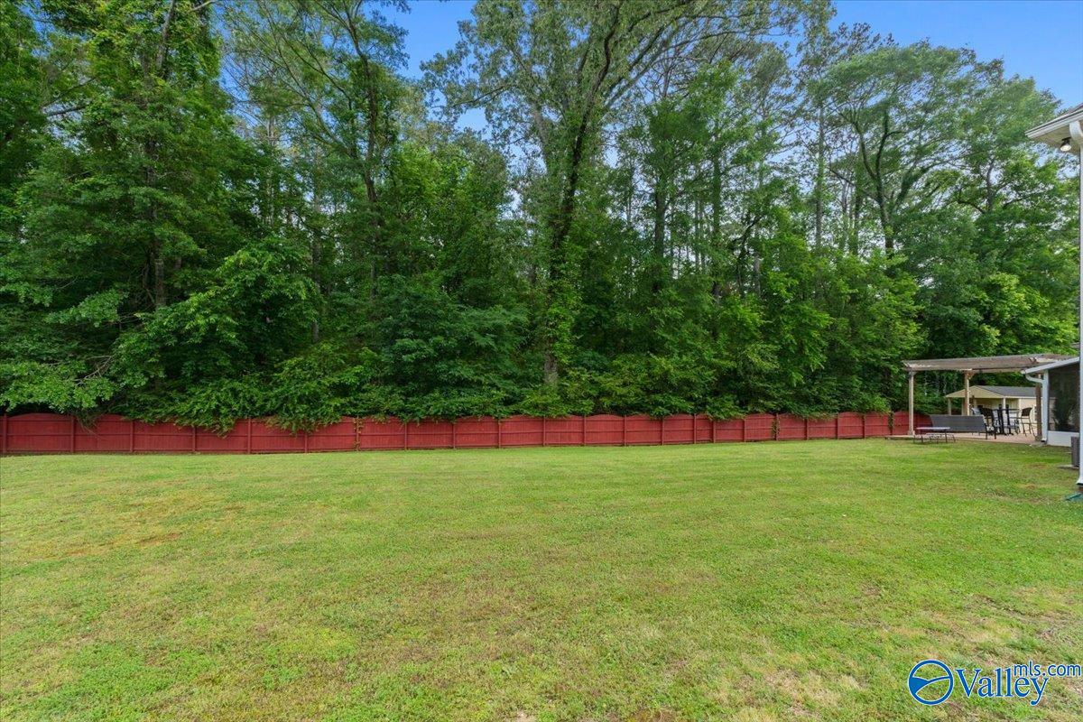 148 Sage Willow Drive, Madison, Alabama image 45