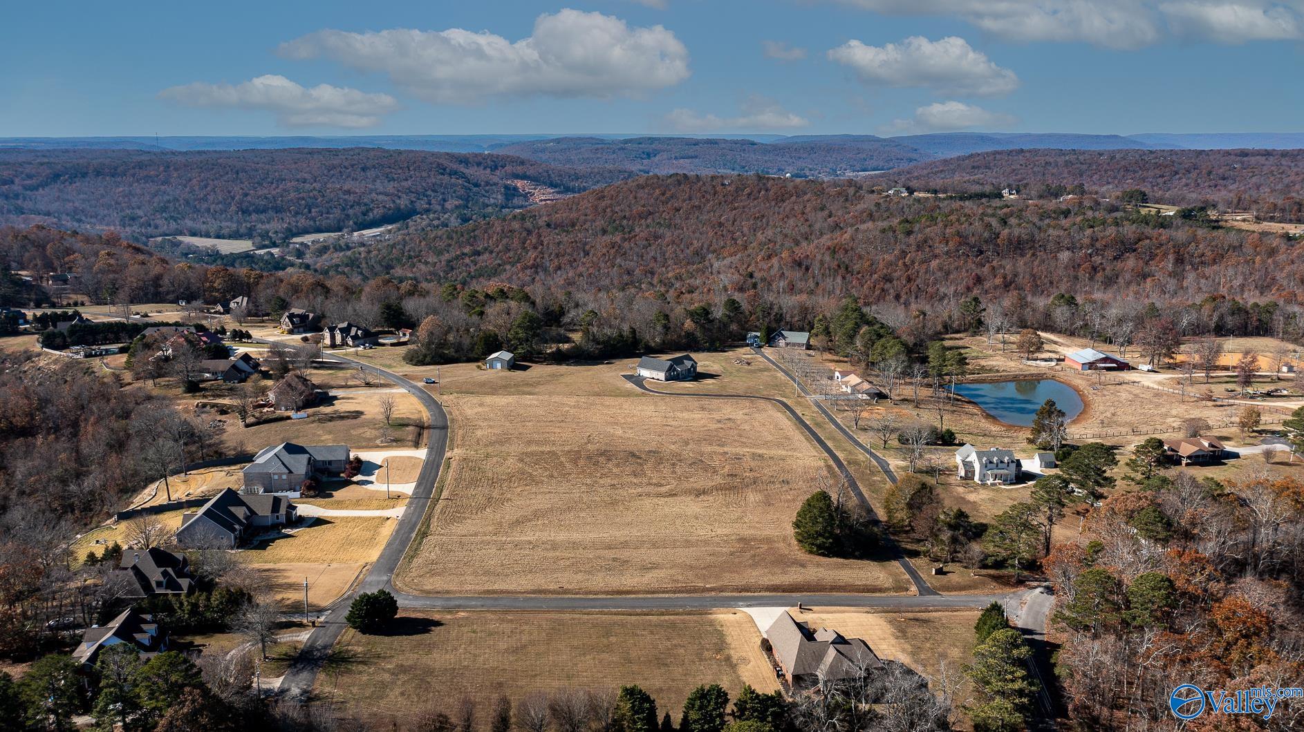 1.19 Acres Joeffie Road, Grant, Alabama image 8