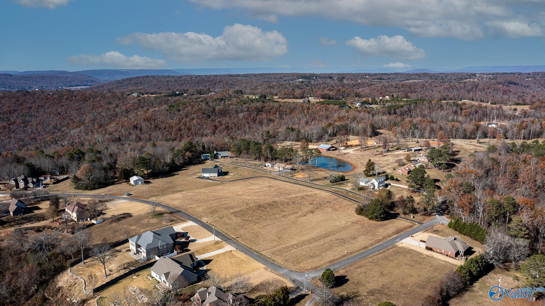 1.19 Acres Joeffie Road, Grant, Alabama image 7