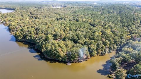 Vacant Land For Sale - 525 County Road 616<br/> Cedar Bluff, AL 35959