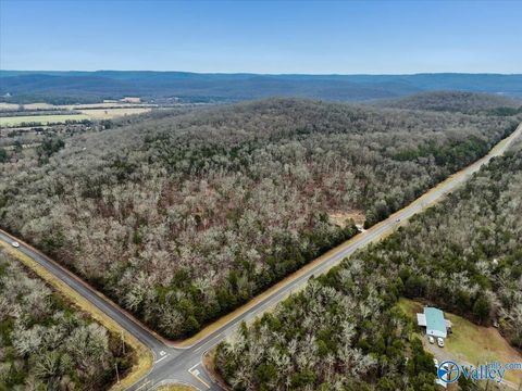 Vacant Land For Sale - 2.25 ACRES-LOT4 Cathedral Caverns Highway<br/> Grant, AL 35747