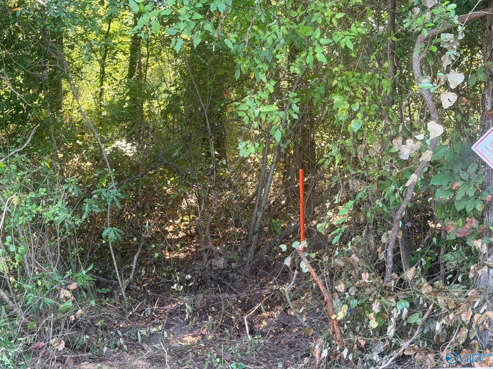 2 acres Kelly Road