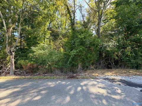 Vacant Land For Sale - 2 ACRES Kelly Road<br/> Tanner, AL 35671