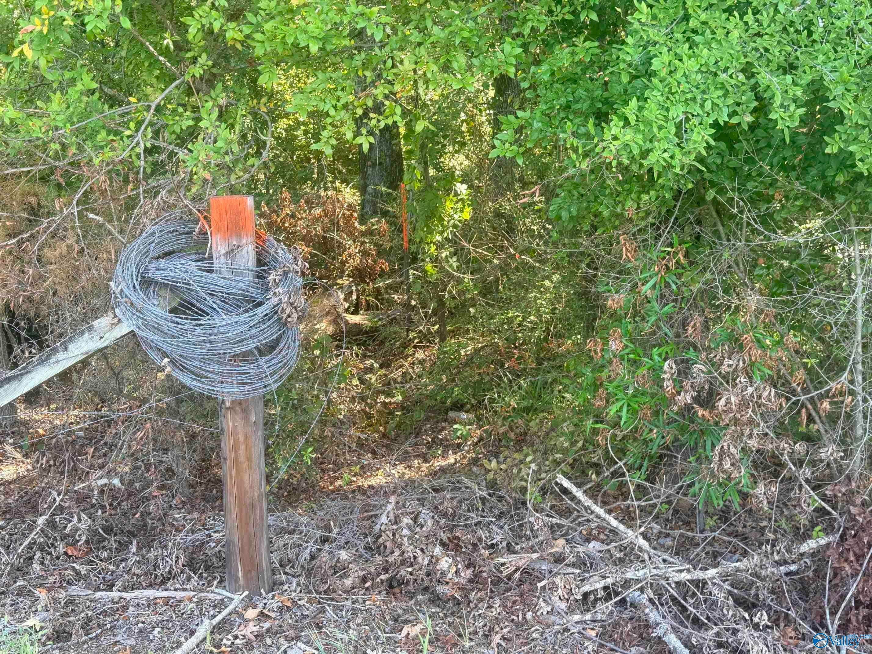 2 acres Kelly Road