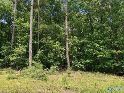 Vacant Land For Sale - LOT 81 County Road 608<br/> Cedar Bluff, AL 35959
