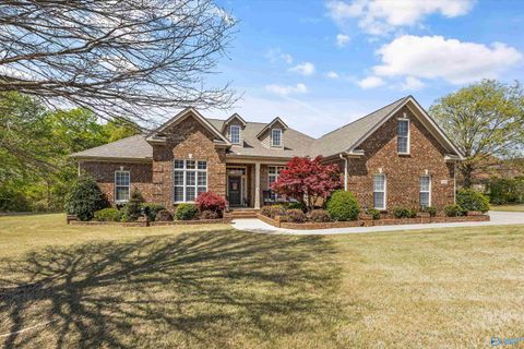 7074 Jacks Creek Lane Owens Cross Roads AL 35763
