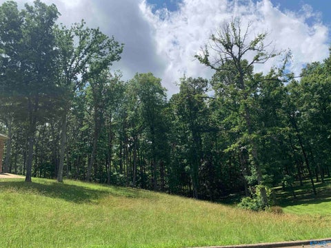 Vacant Land For Sale - 208 Heritage View Circle<br/> Gurley, AL 35748