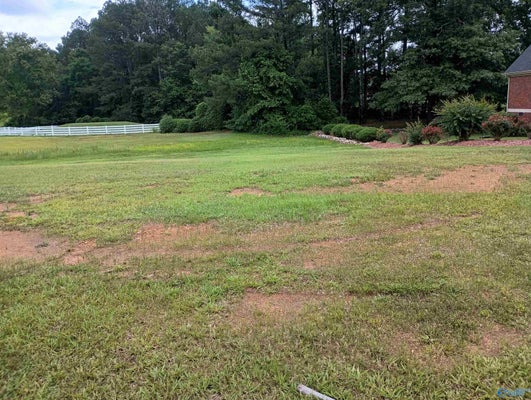 7 WINFIELD LN, GLENCOE, AL 35905 - Image 6db2d09c397aeb3b0bbe32b40f7c8b0c/1893815828