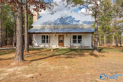 Photo of 4449 County Road 159, Flat Rock, AL 35966 (MLS # 21912173)