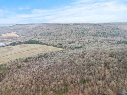 Vacant Land For Sale - 572B County Road 676<br/> Bryant, AL 35958