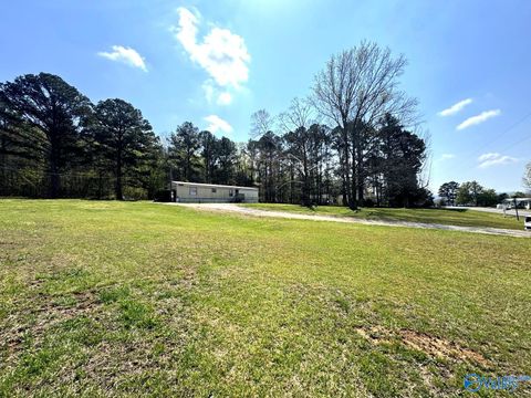 Vacant Land For Sale - 993 Albert Mann Road<br/> Madison County, New Hope, AL 35760