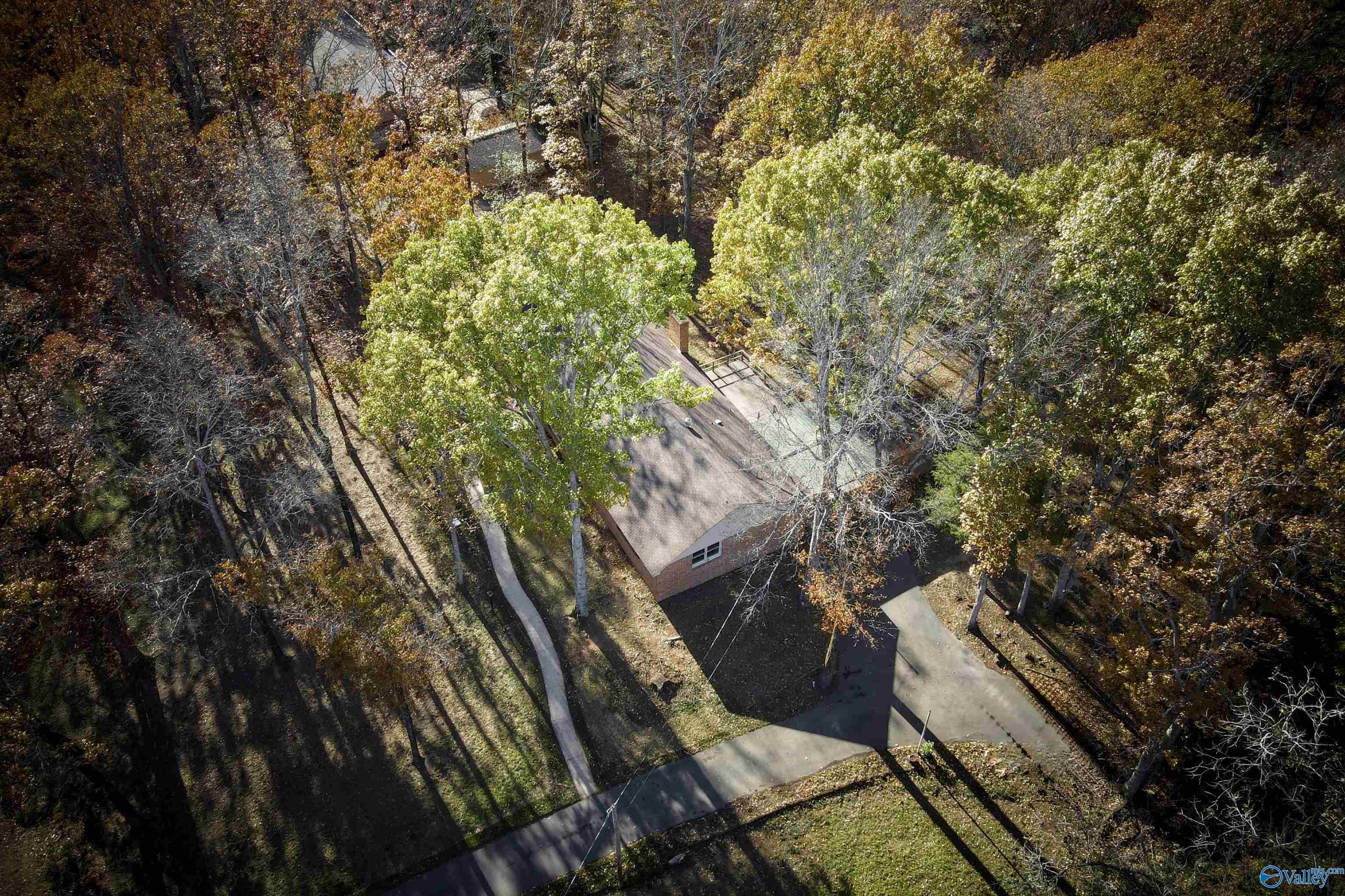 4409 Autumn Leaves Trail, Decatur, Alabama image 3