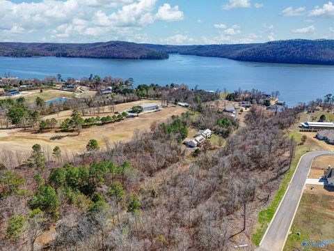 Vacant Land For Sale - LOT 4 Earl Caldwell Drive<br/> Guntersville, AL 35976