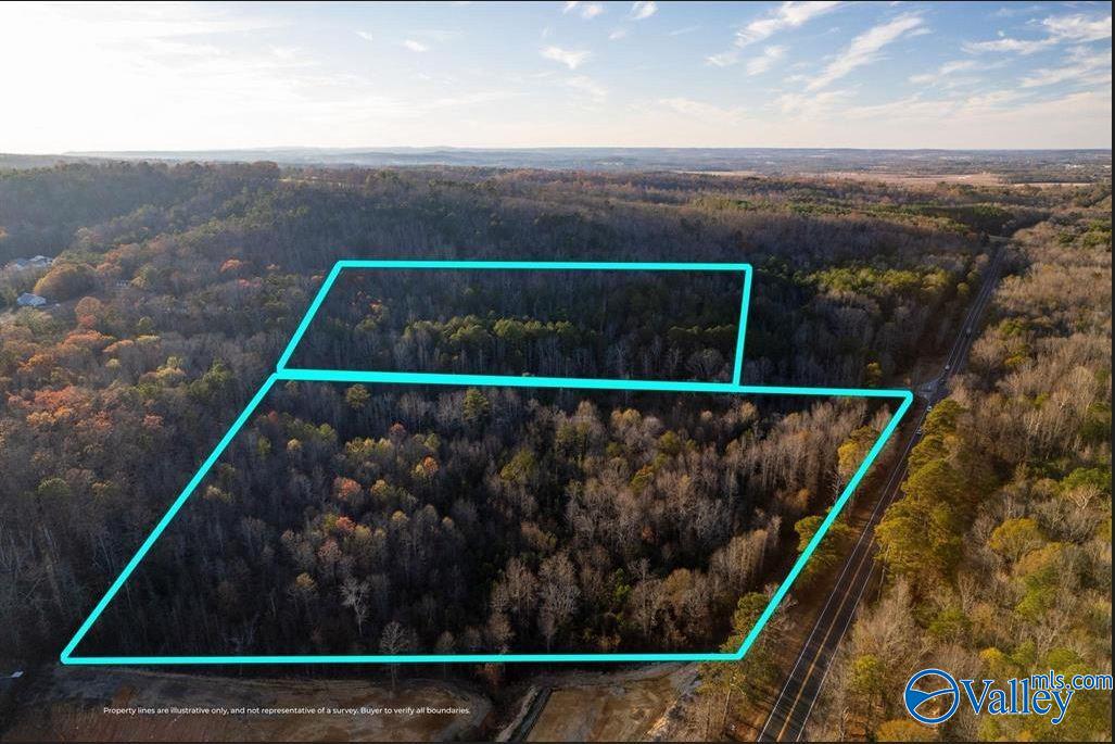 20 Acres 0 County Highway 41, Altoona, Alabama image 2