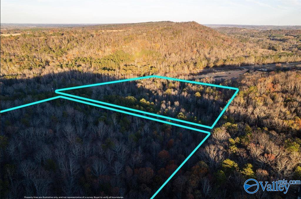 20 Acres 0 County Highway 41, Altoona, Alabama image 5