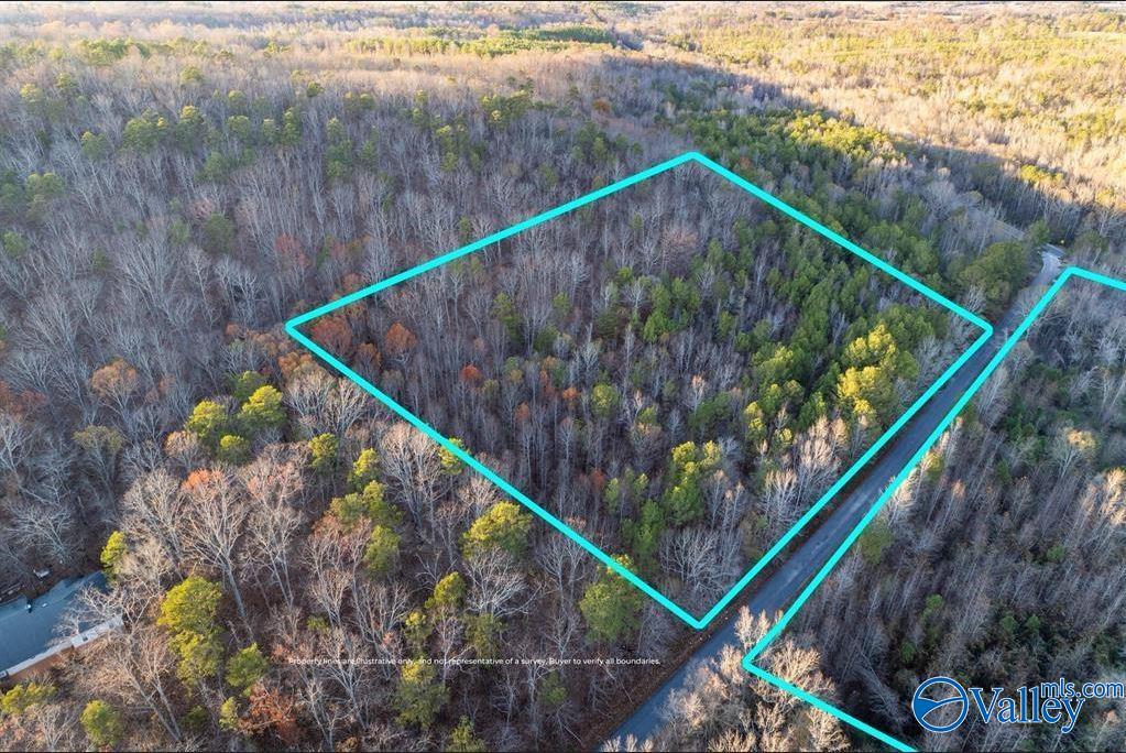 20 Acres 0 County Highway 41, Altoona, Alabama image 4