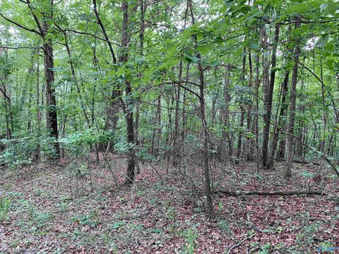 Vacant Land For Sale - 7 Bear Creek Trail<br/> Fort Payne, AL 35967