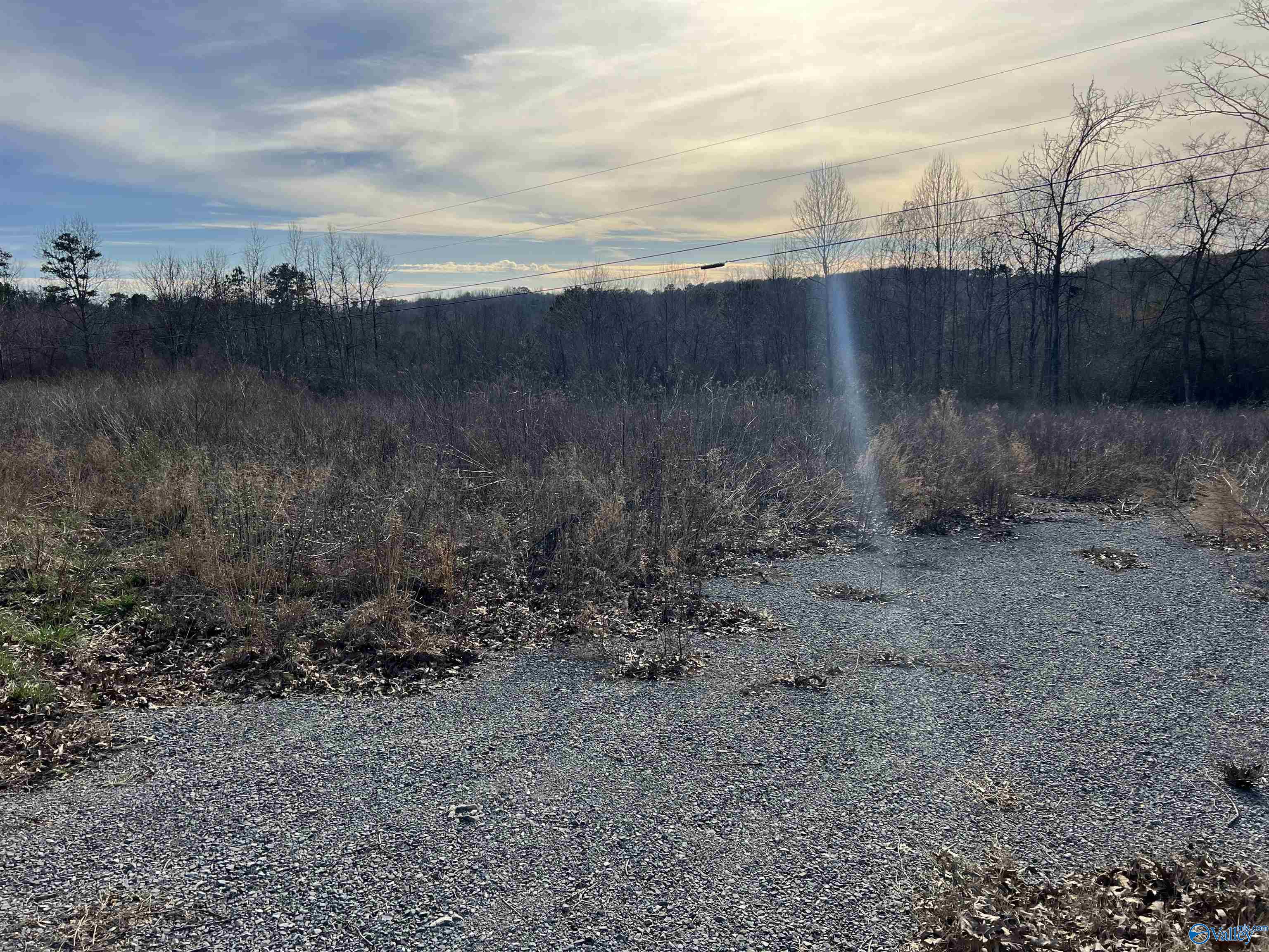 24 Acres County Road 1825, Arab, Alabama image 4