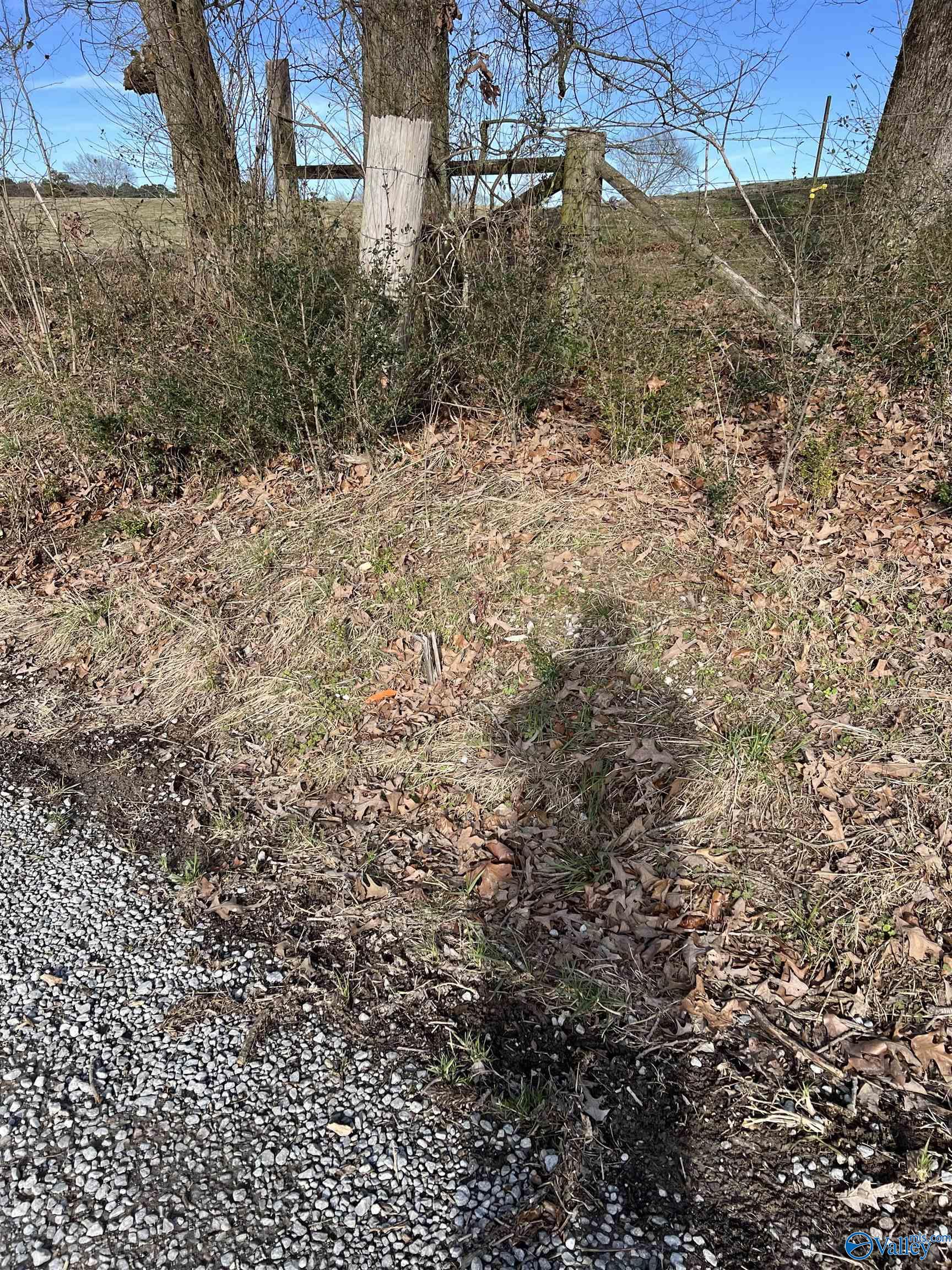 24 Acres County Road 1825, Arab, Alabama image 3