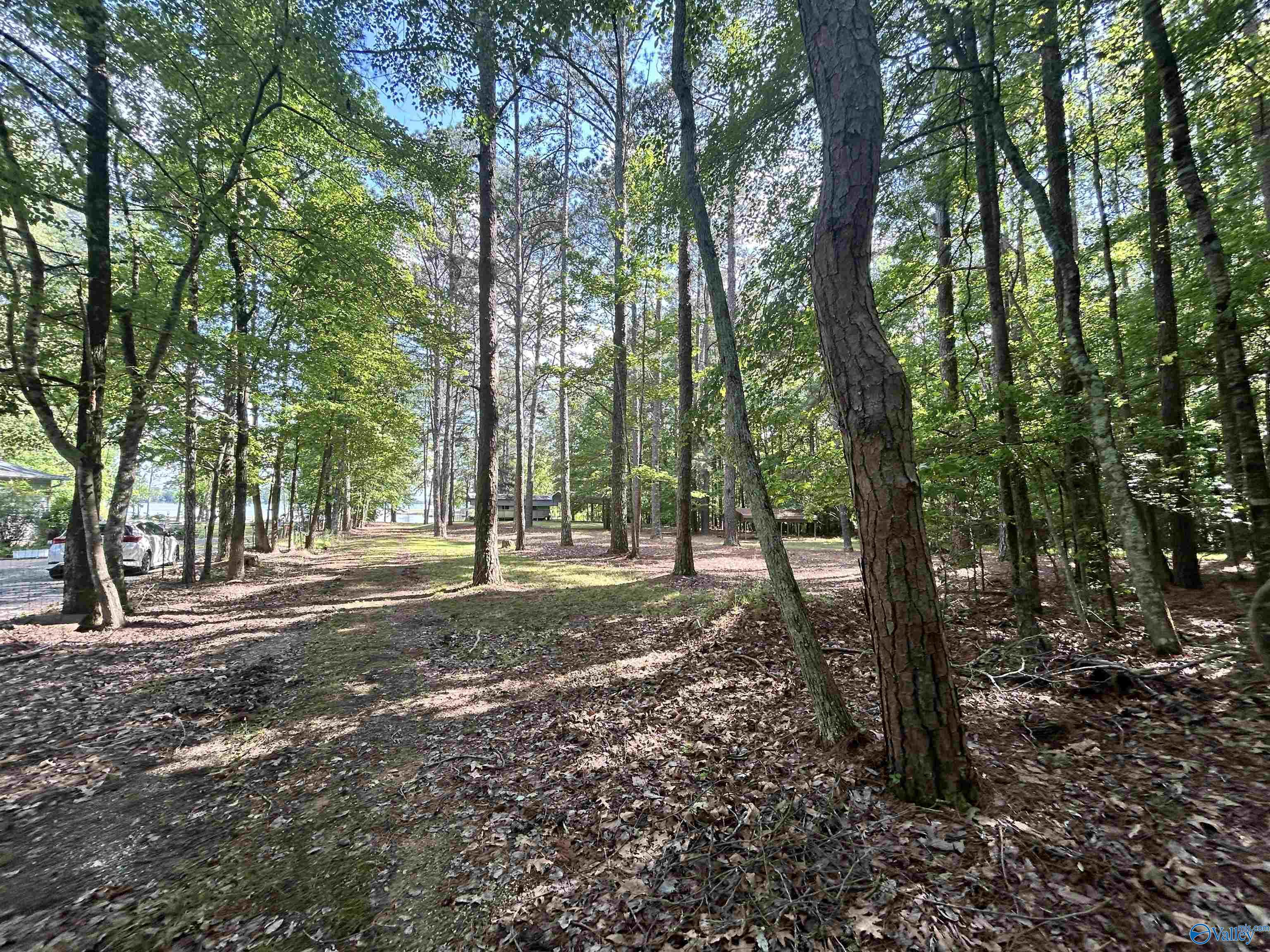 5+/- Acres County Road 44, Cedar Bluff, Alabama image 34