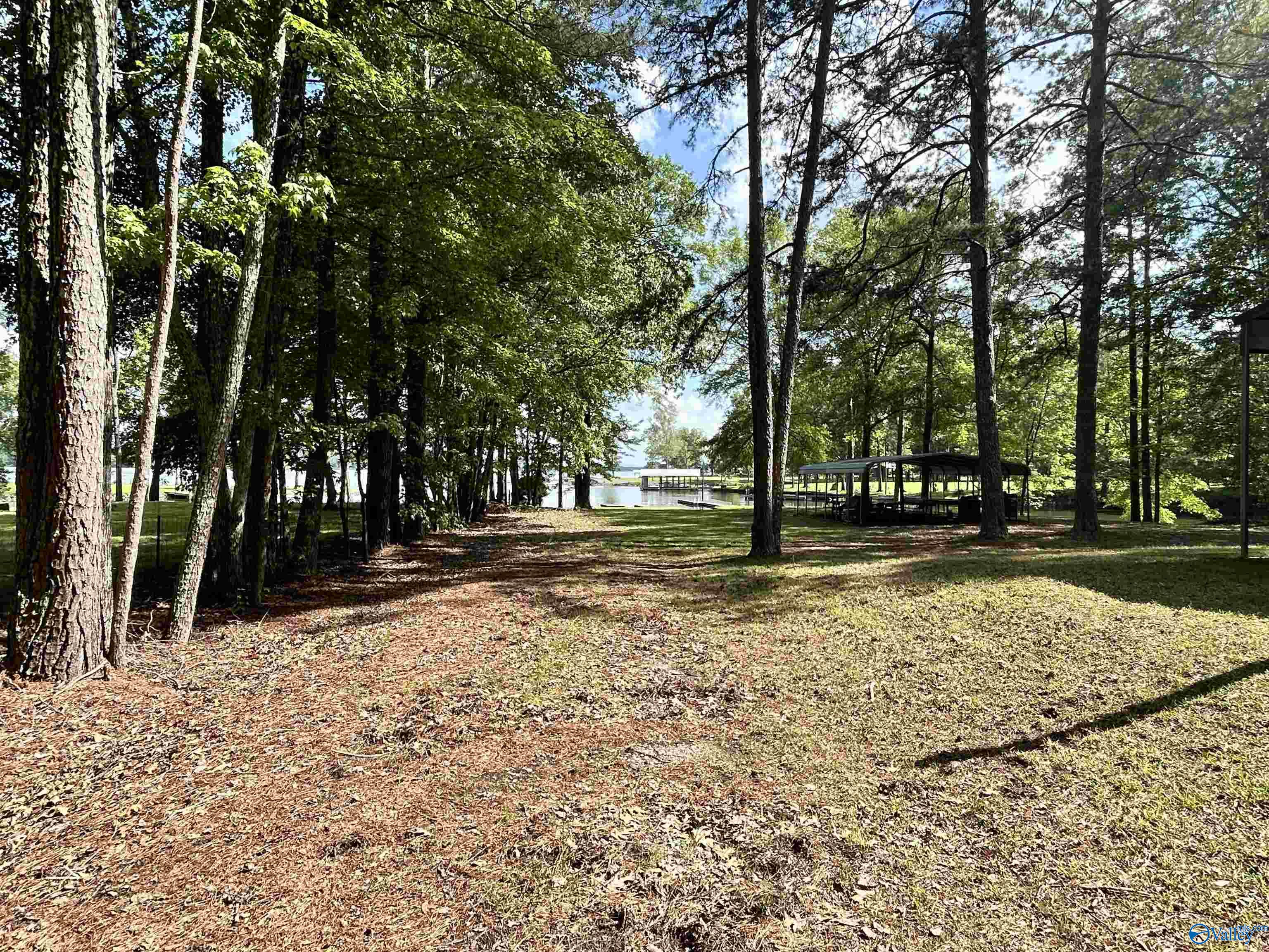 5+/- Acres County Road 44, Cedar Bluff, Alabama image 27