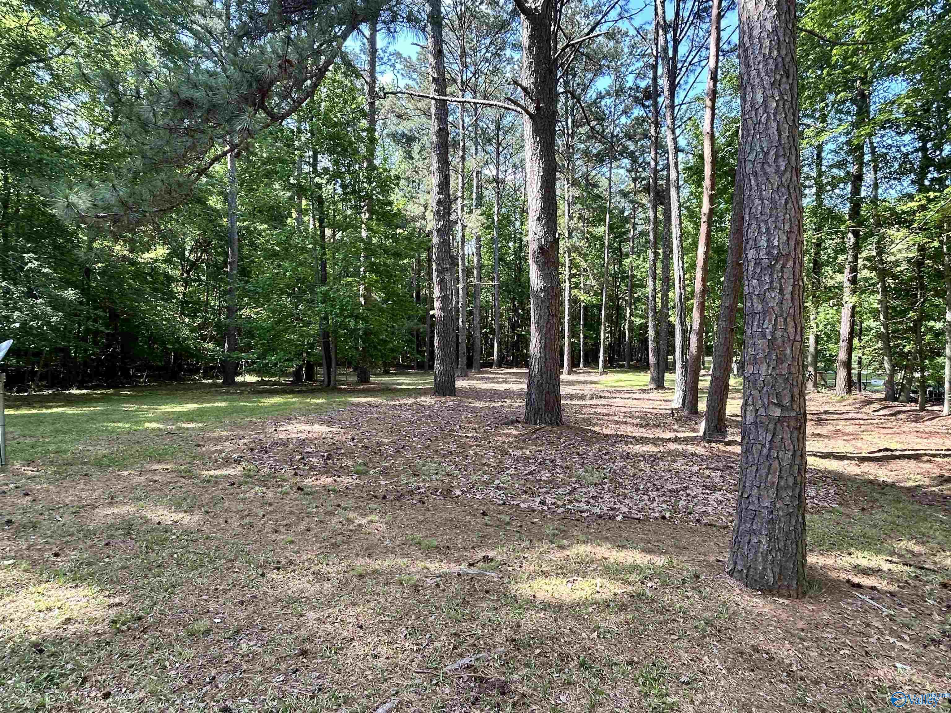 5+/- Acres County Road 44, Cedar Bluff, Alabama image 26