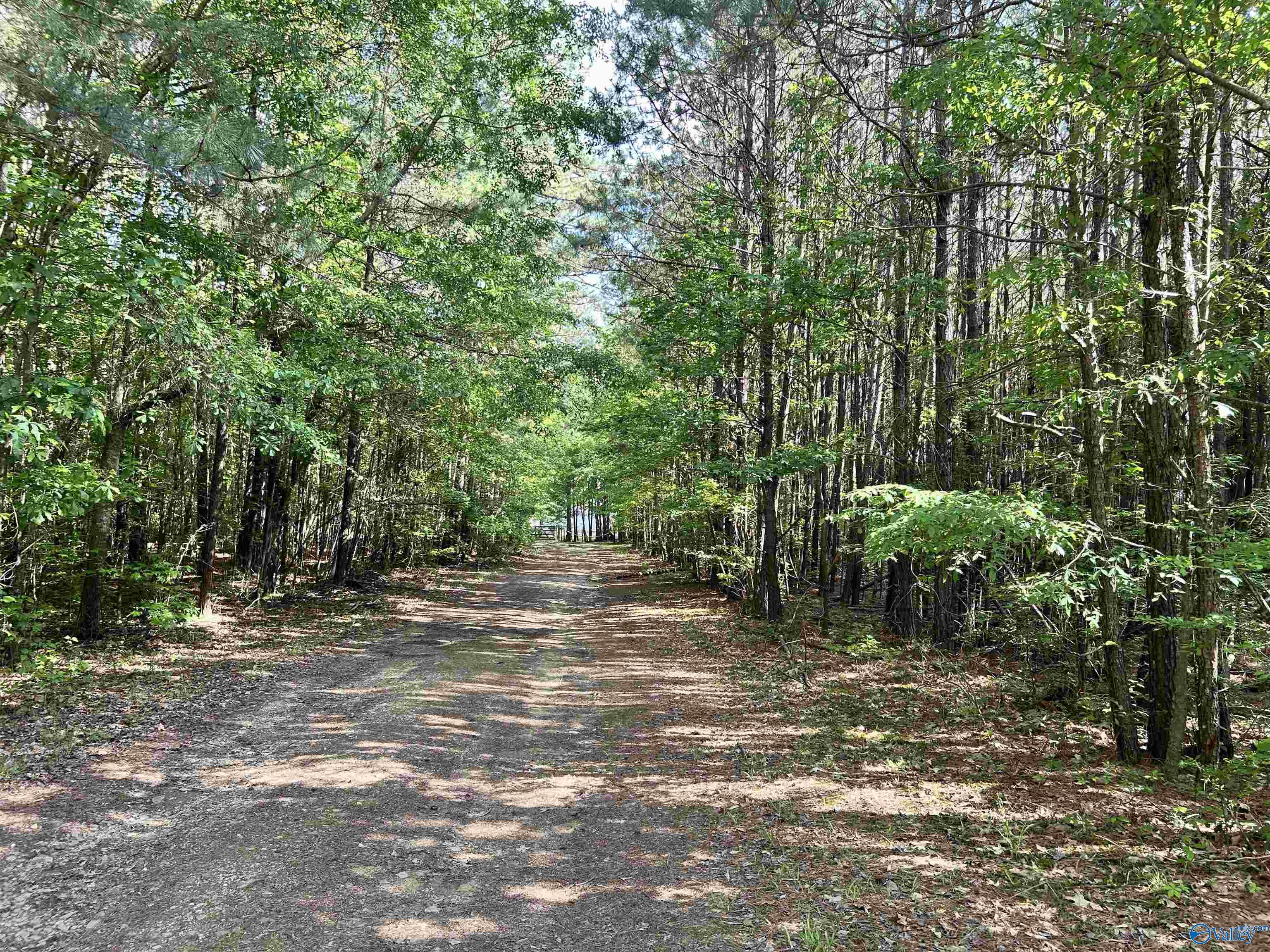 5+/- Acres County Road 44, Cedar Bluff, Alabama image 38