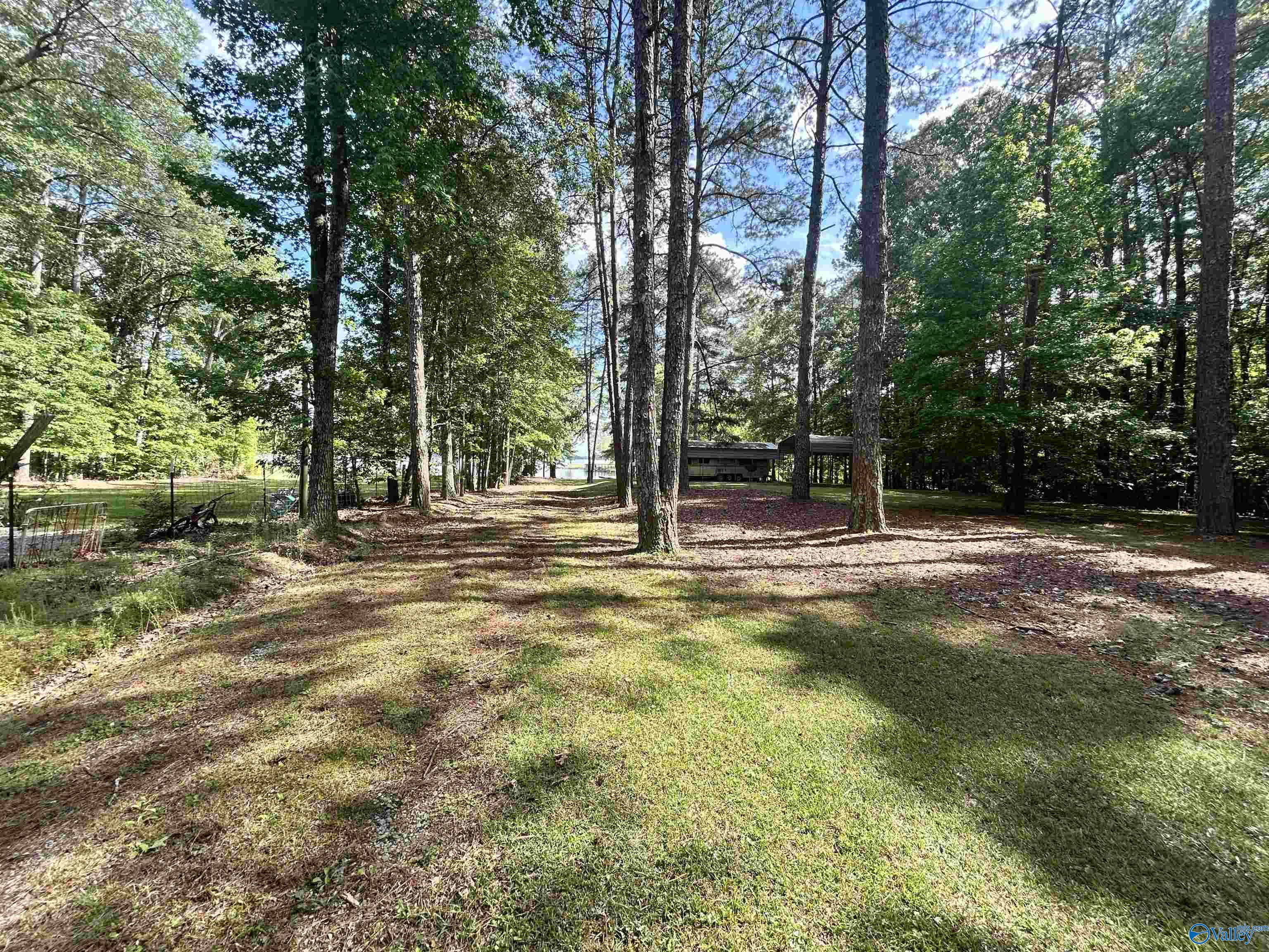 5+/- Acres County Road 44, Cedar Bluff, Alabama image 32