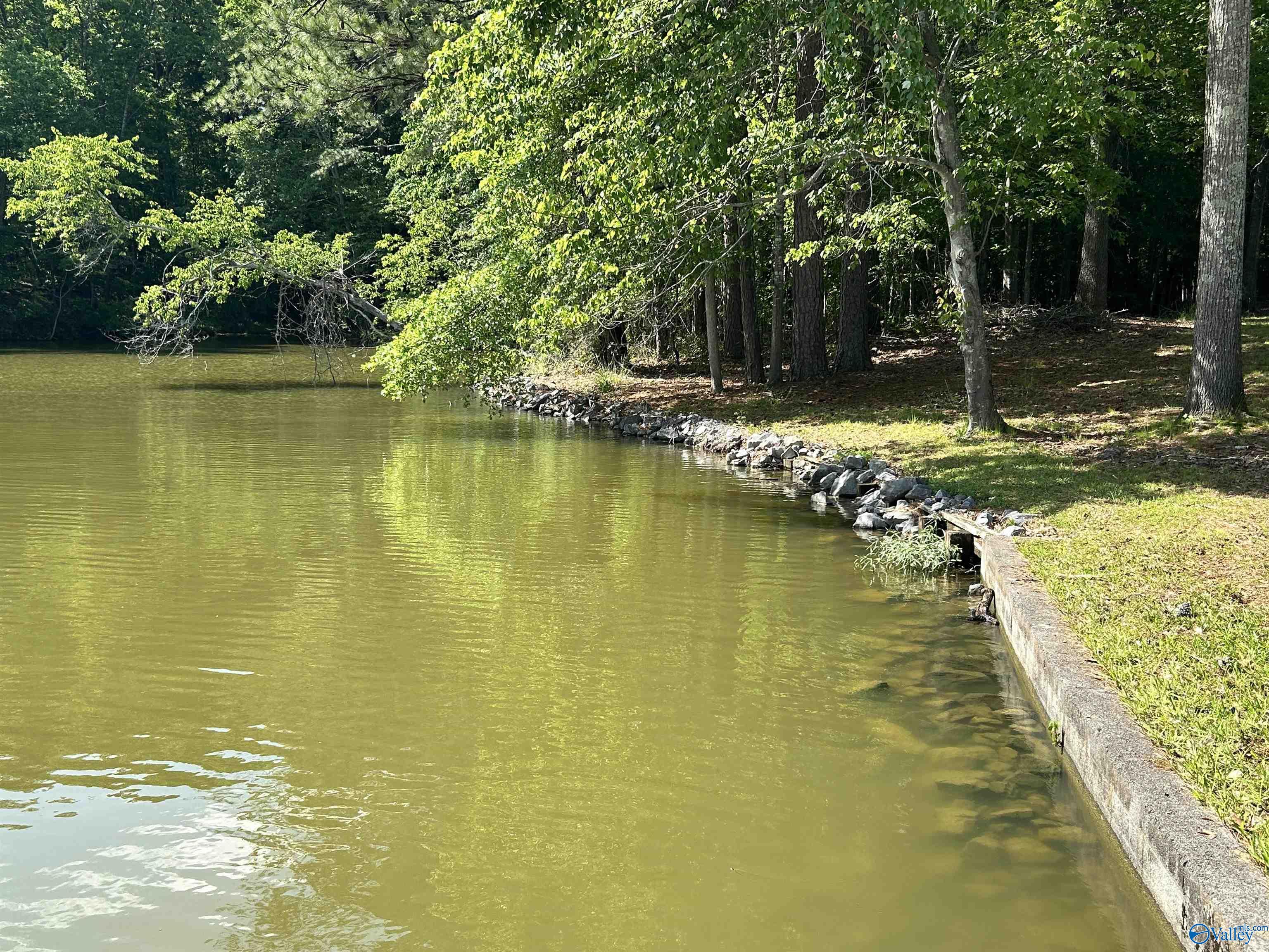 5+/- Acres County Road 44, Cedar Bluff, Alabama image 14