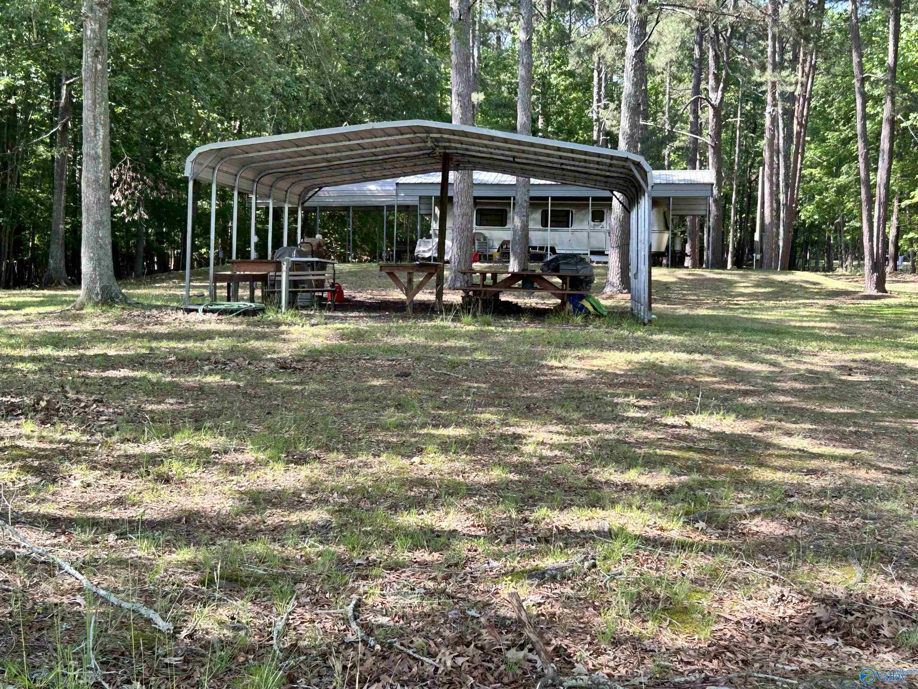5+/- Acres County Road 44, Cedar Bluff, Alabama image 19