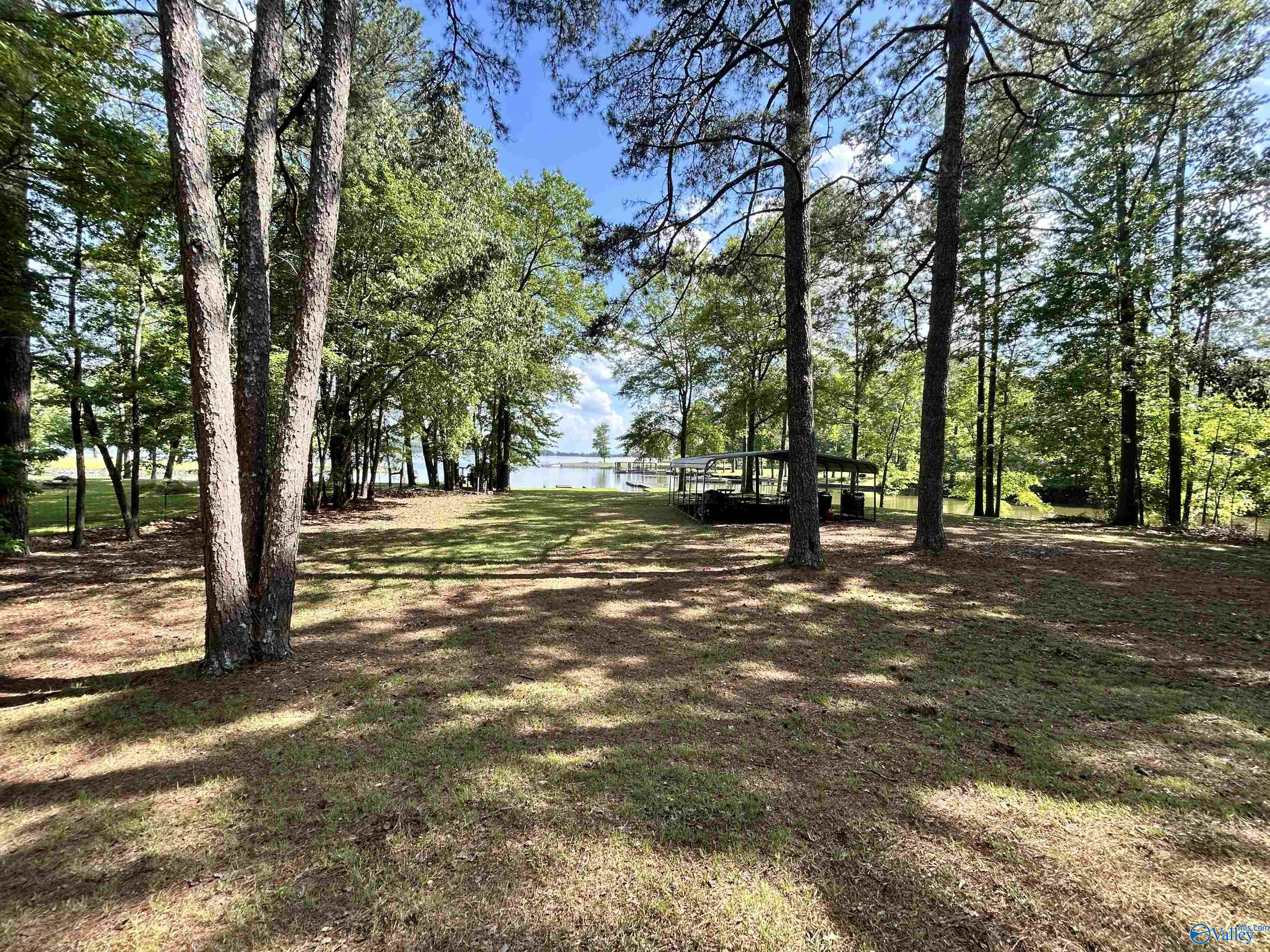 5+/- Acres County Road 44, Cedar Bluff, Alabama image 24