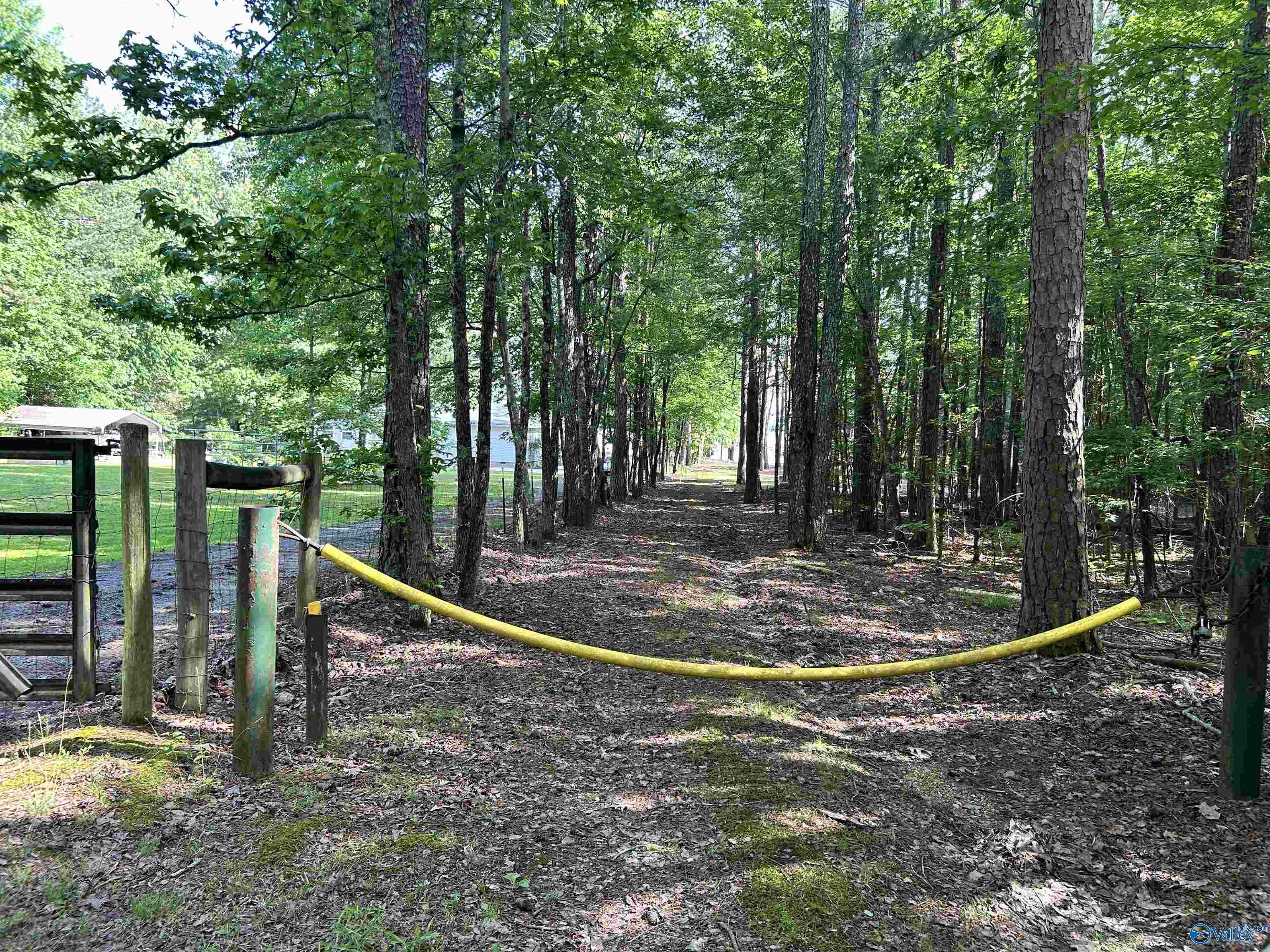 5+/- Acres County Road 44, Cedar Bluff, Alabama image 37