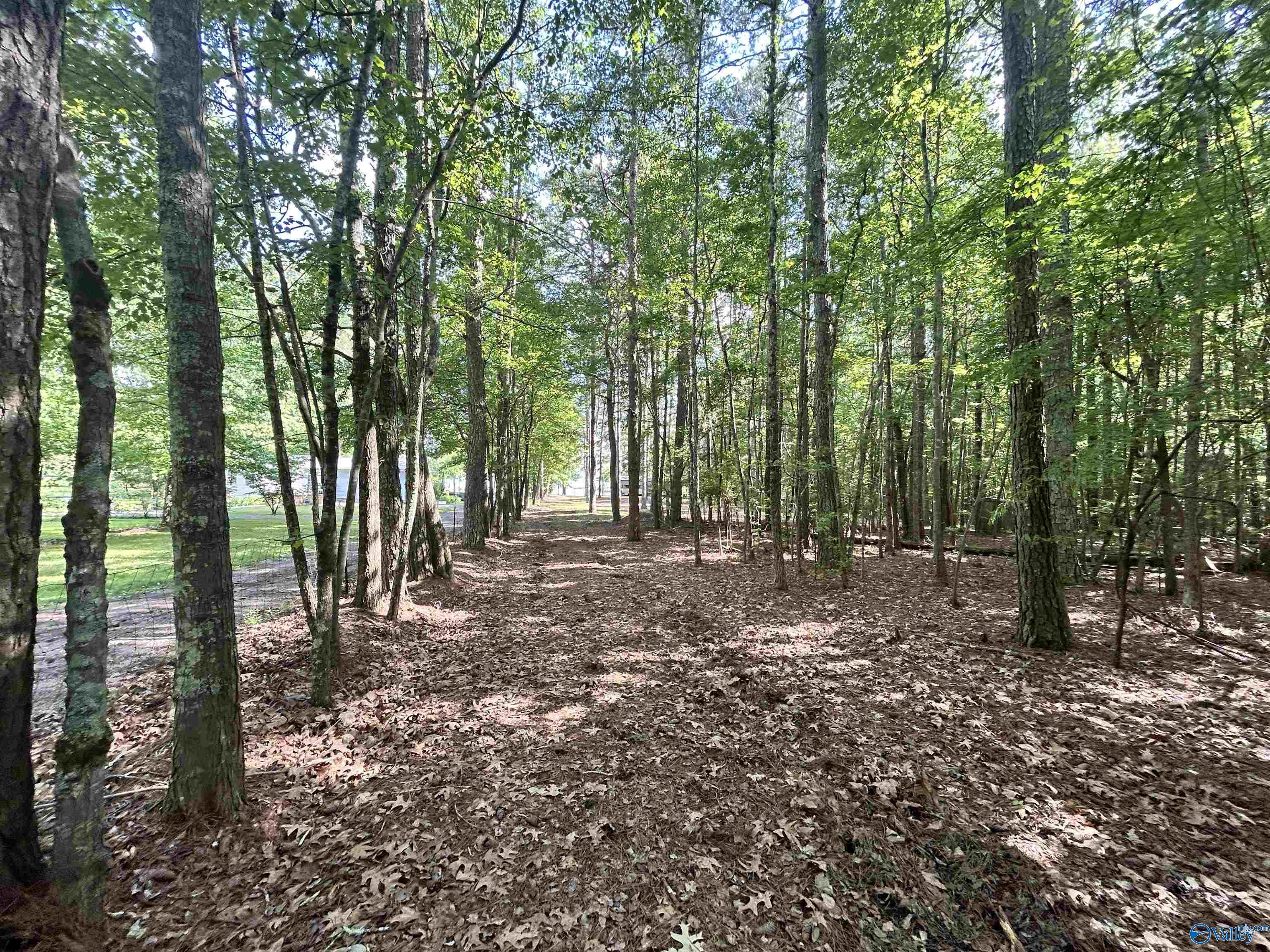 5+/- Acres County Road 44, Cedar Bluff, Alabama image 35