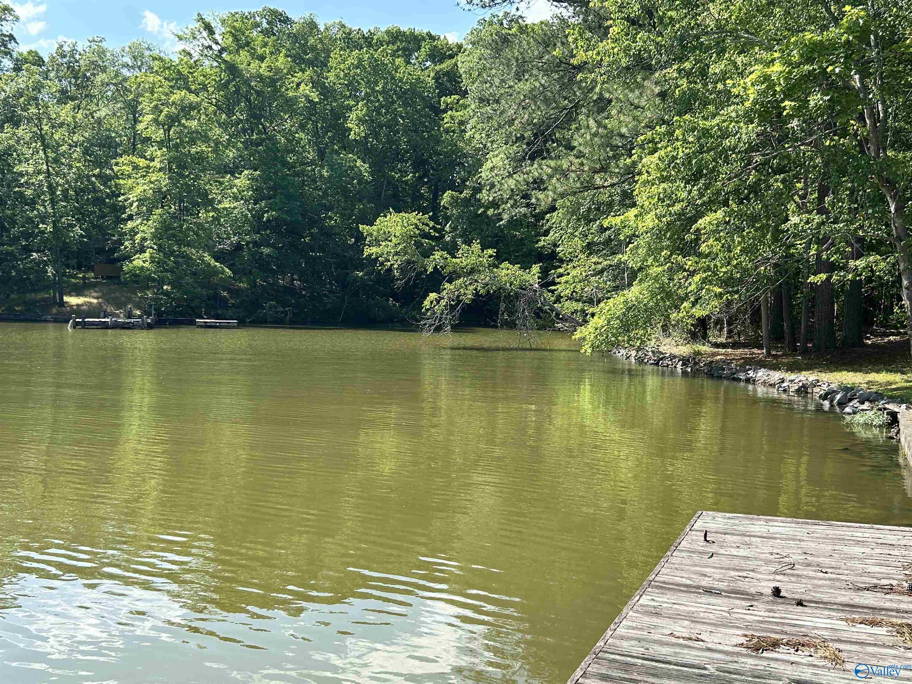 5+/- Acres County Road 44, Cedar Bluff, Alabama image 12