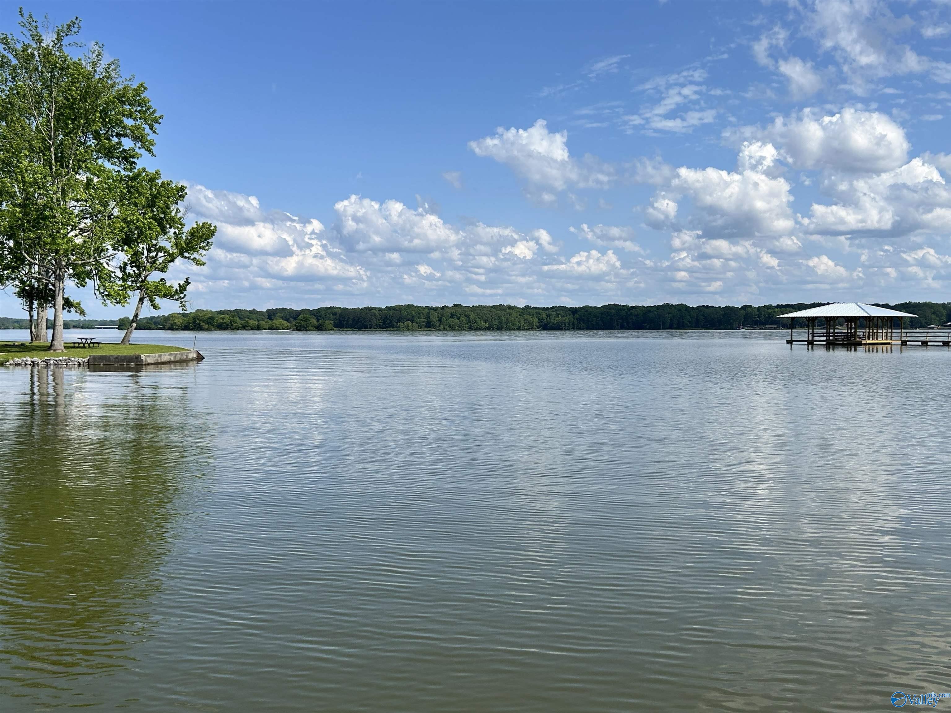 5+/- Acres County Road 44, Cedar Bluff, Alabama image 8