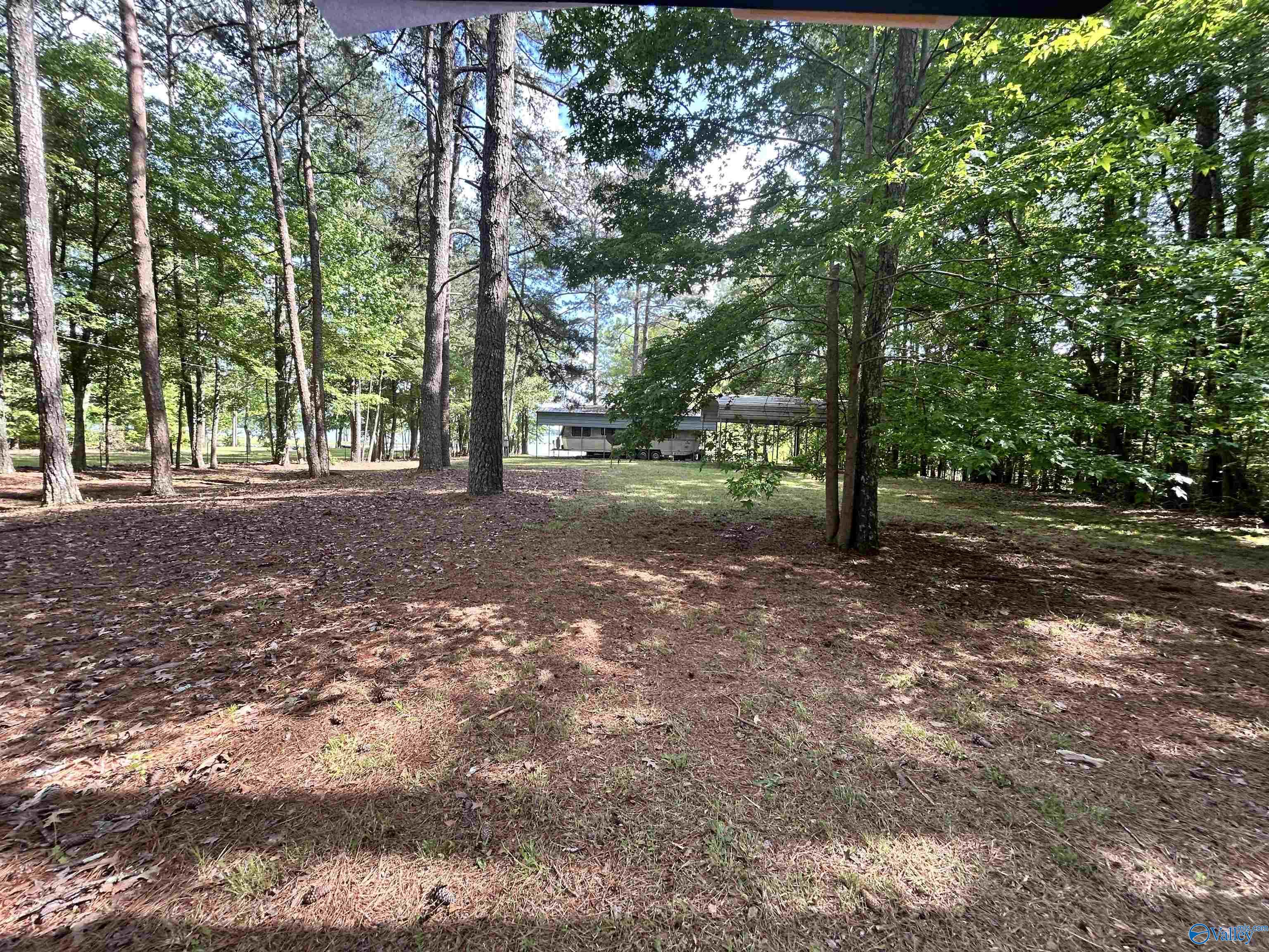 5+/- Acres County Road 44, Cedar Bluff, Alabama image 31