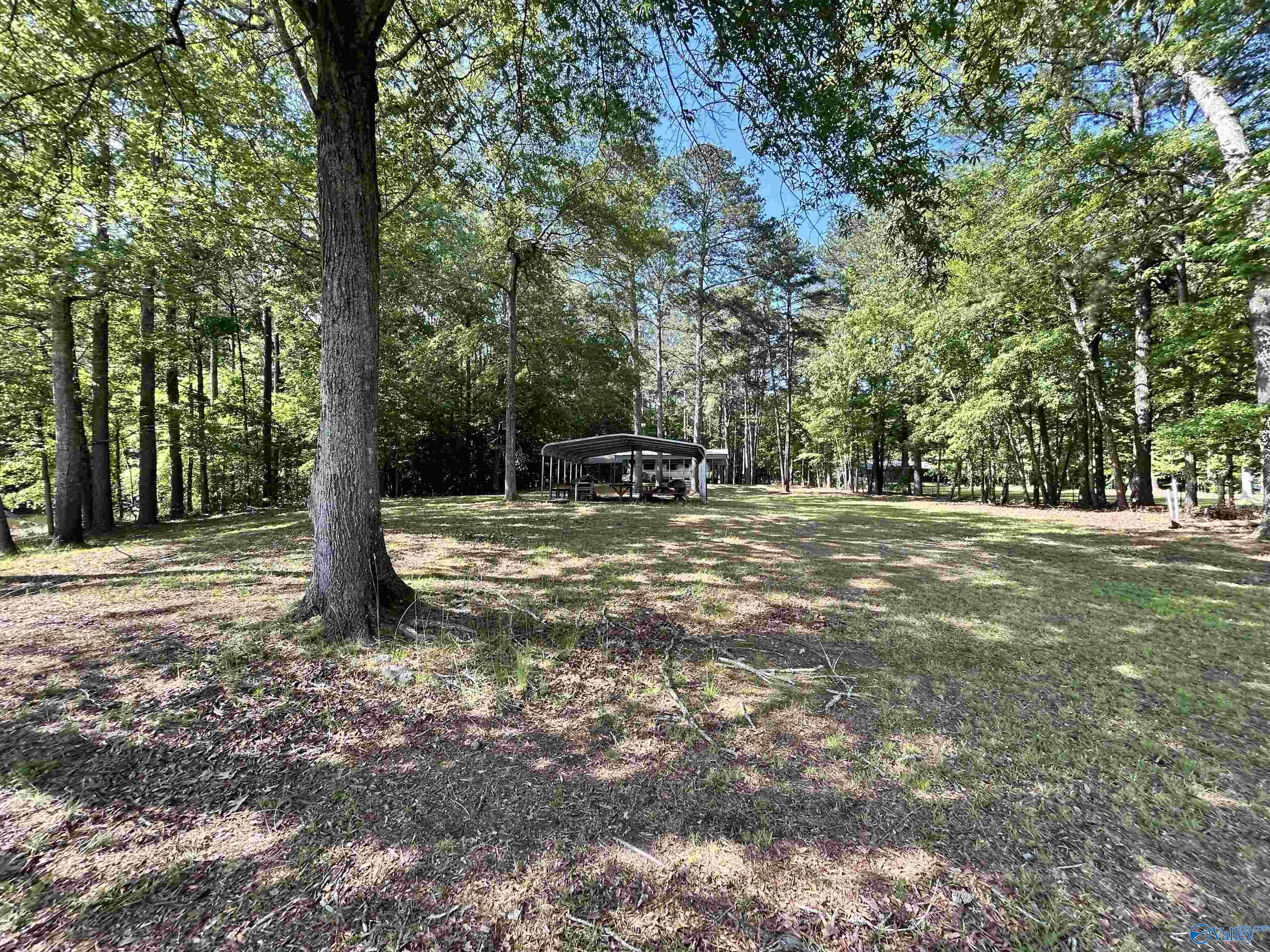 5+/- Acres County Road 44, Cedar Bluff, Alabama image 18