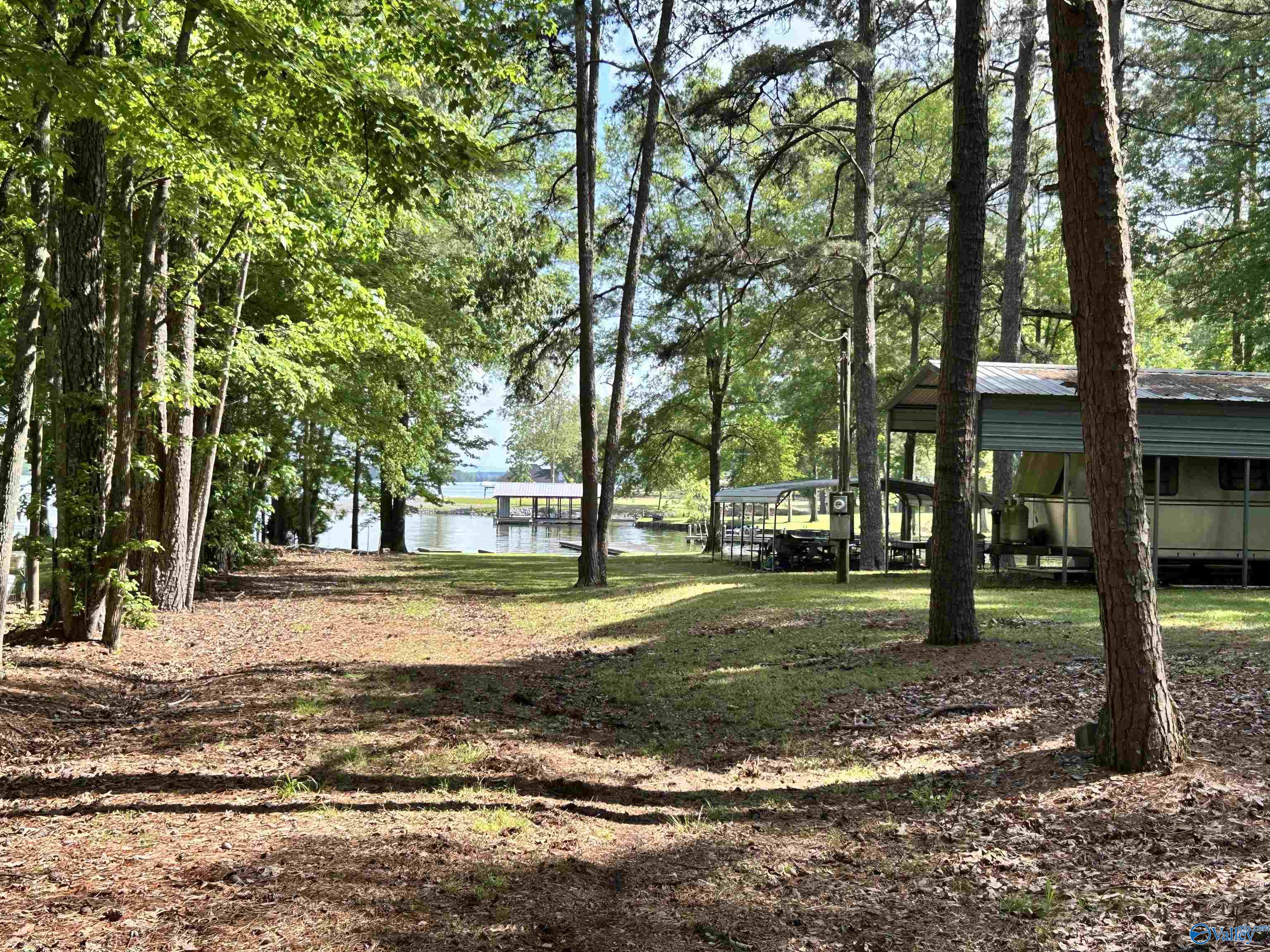 5+/- Acres County Road 44, Cedar Bluff, Alabama image 30