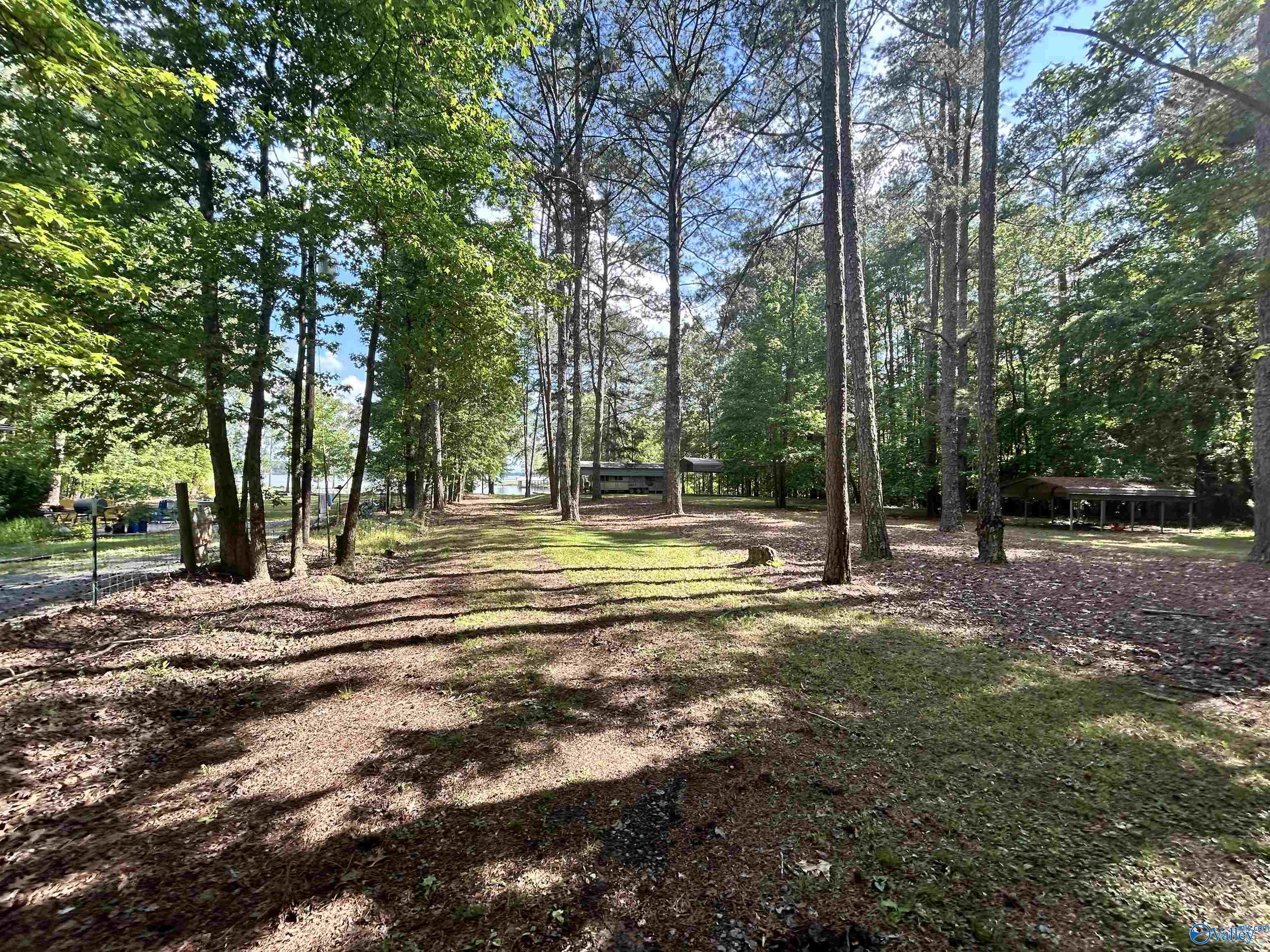 5+/- Acres County Road 44, Cedar Bluff, Alabama image 33