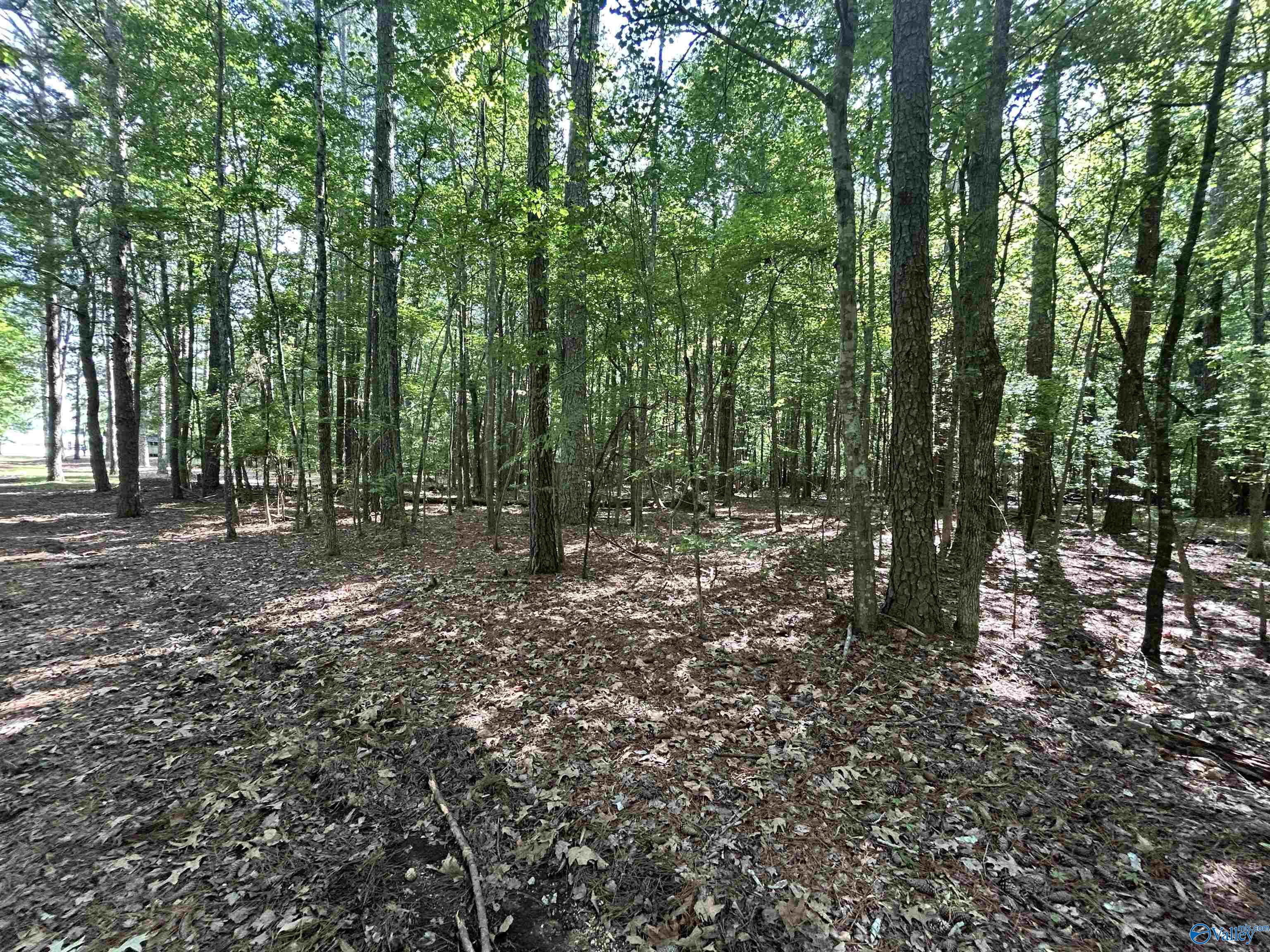 5+/- Acres County Road 44, Cedar Bluff, Alabama image 36