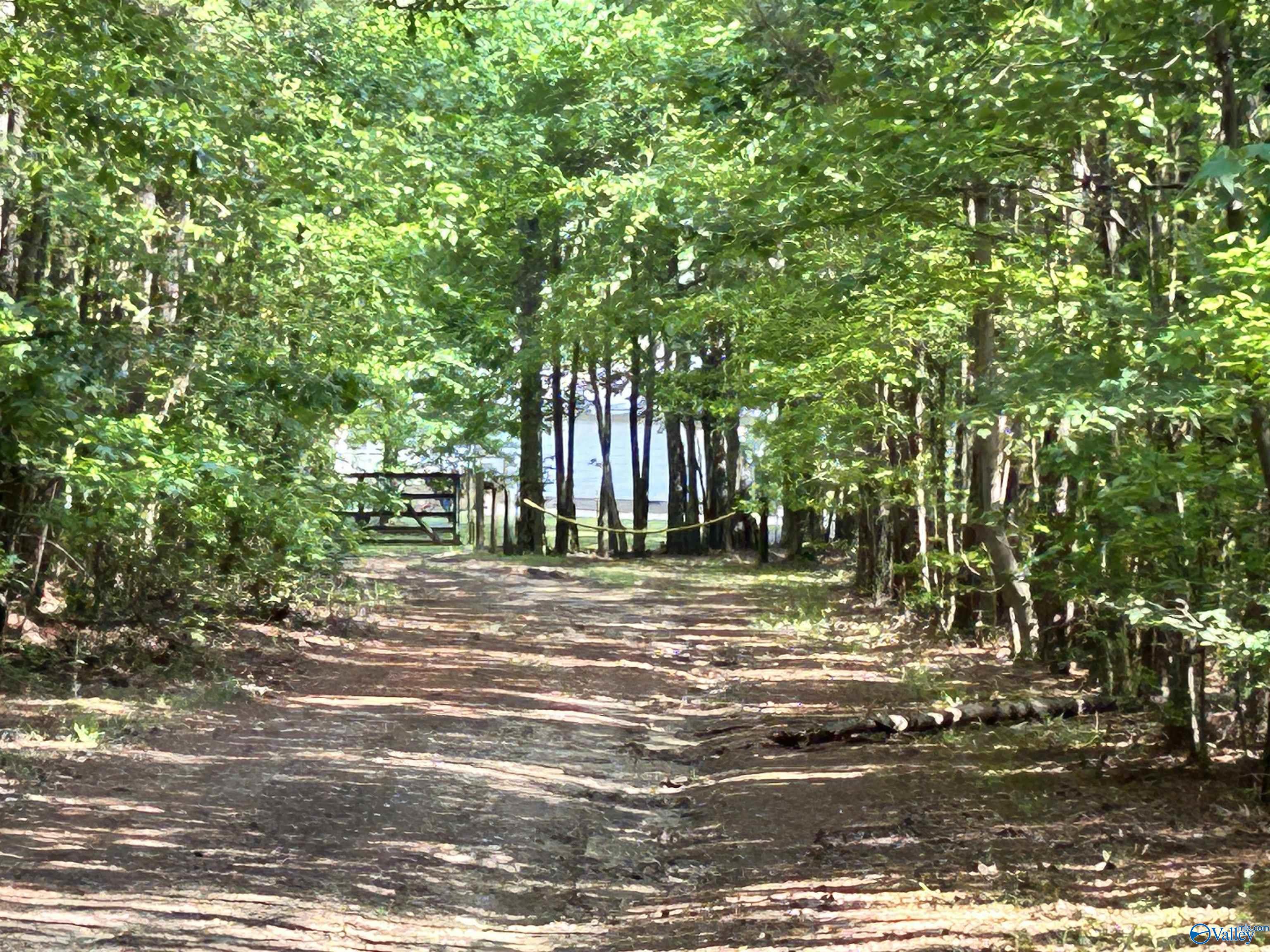 5+/- Acres County Road 44, Cedar Bluff, Alabama image 39
