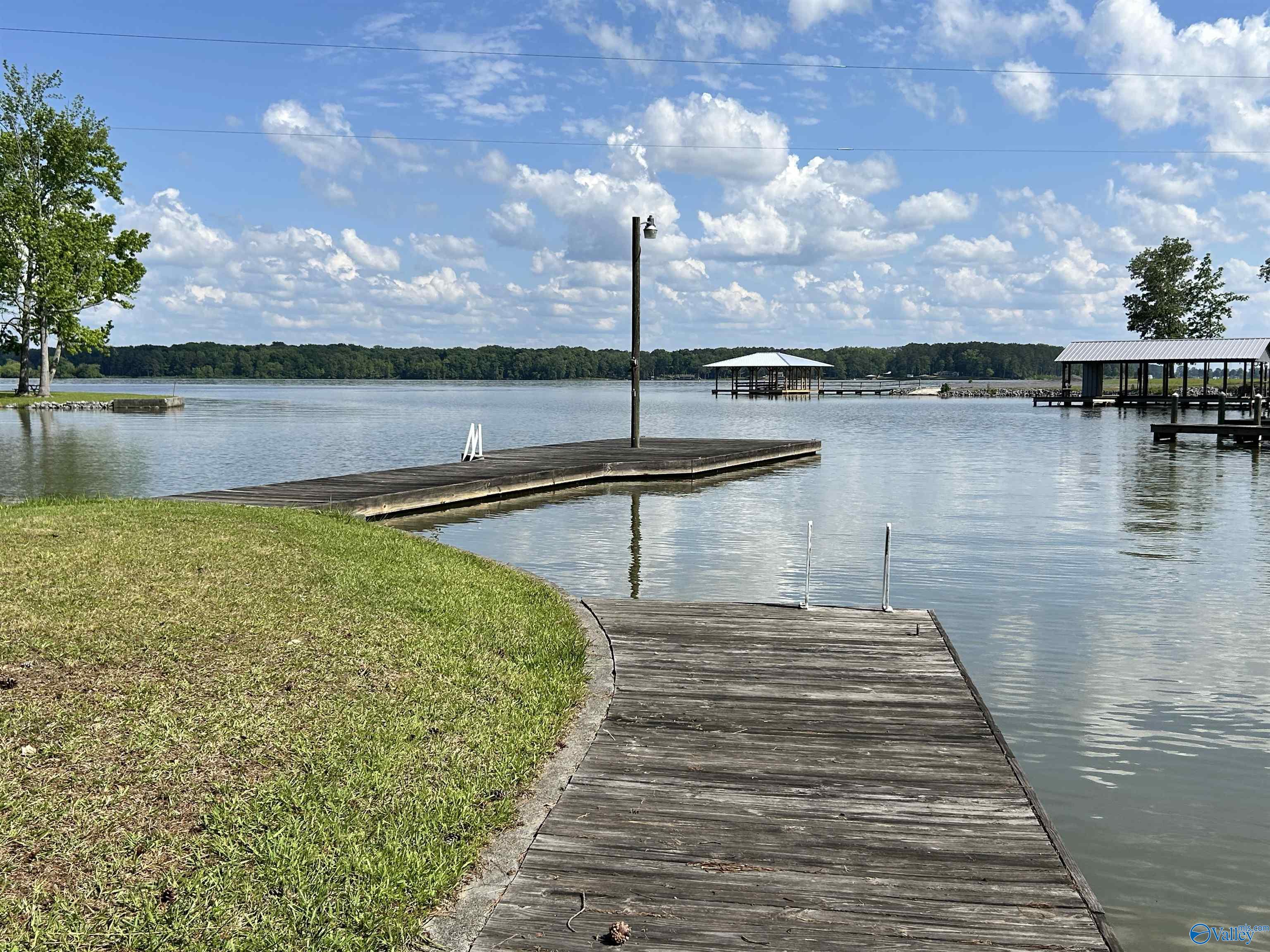 5+/- Acres County Road 44, Cedar Bluff, Alabama image 15