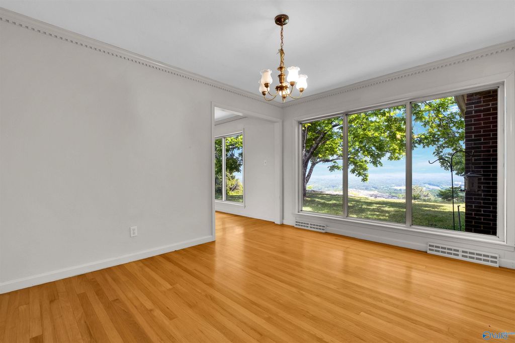 1131 Bellevue Drive photo 18