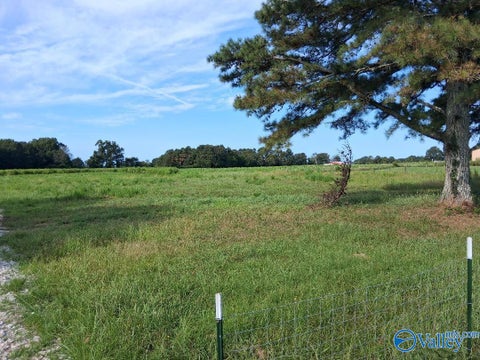 Vacant Land For Sale - 17586 Cross Key Road<br/> Limestone County, Athens, AL 35614